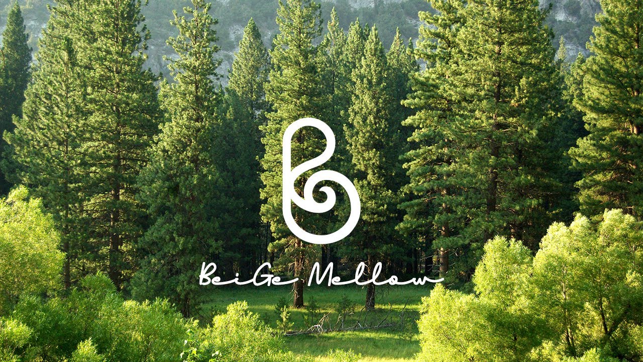 Свежий воздух в огромном лесу. Расслабляющая музыка нью-эйдж (+Лесной АСМР🌳)