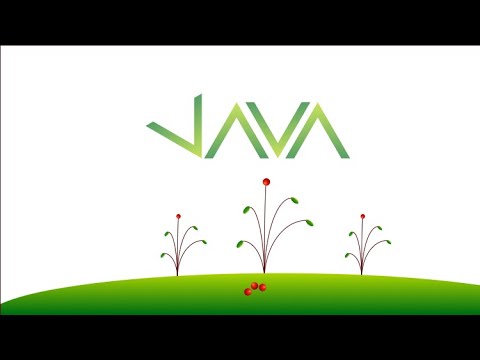 Some Comments on While Loops: Java 11 For Complete Beginners 032
