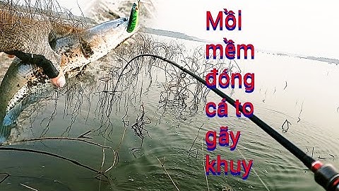 câu rê câu lure cá lóc bằng mồi mềm mồi giả nhái hơi v1.f35 quá đơn giản và hiệu quả