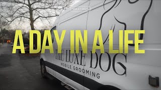 A Day In A Life Of A Mobile Dog Groomer / Future Of The Channel