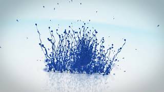 Fiverr Logo Animation #43