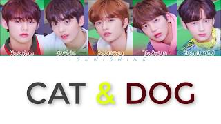 TXT (투모로우바이투게더) 'CAT & DOG' INDOSUB