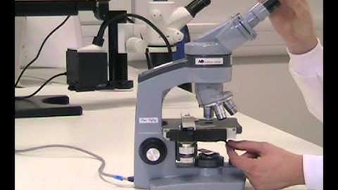Intro to the light Microscope
