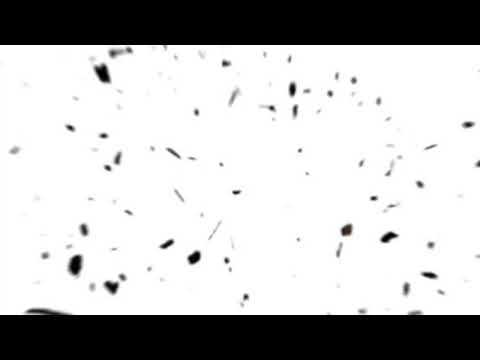 აააააააა ბიჭოოო  გაიქეციიით კაი ვიხუმრე