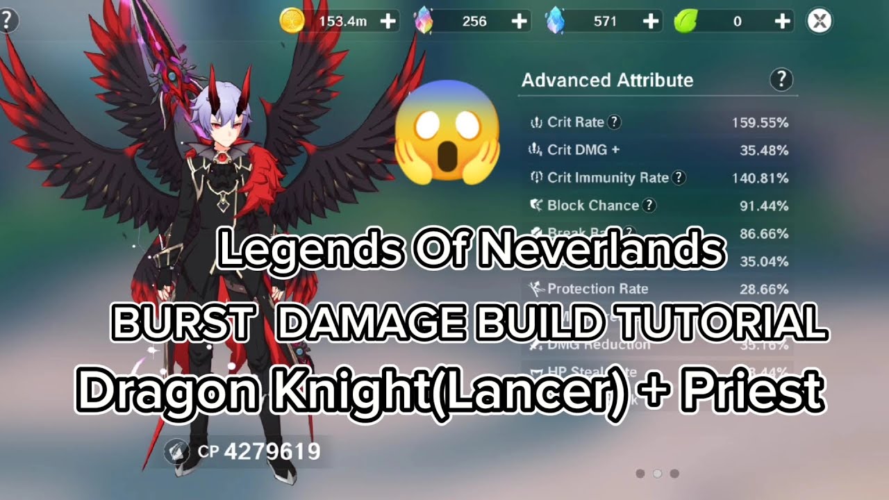 Dragon Knight Lancer Priest Damage Build Tutorial (Gear,Fairy,Skills