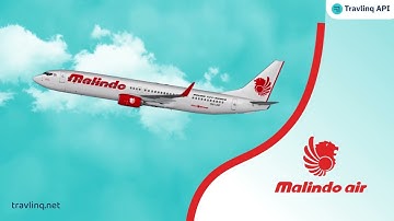 Unlock Endless Possibilities with Travlinq