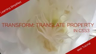 CSS3 transform translate property 2d and 3d animation
