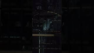 Download Lagu MASTERAN TRUCUK ROPEL TEMBAKAN MP3