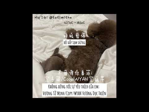 [Vietsub+Pinyin] Không xứng với sự yêu thích của em(不值得你喜欢)-Vương Tử Minh/Copy/WYAN Vương Dục Thiên