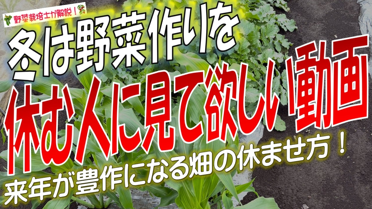 冬に野菜作りをしない人が知らずに損していること（けど特別な作業は何 