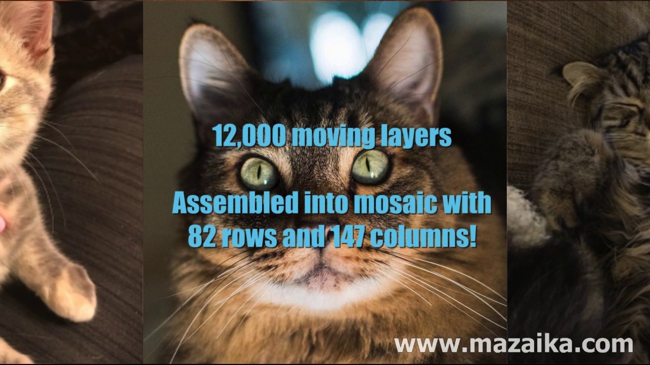 Animated mosaic with 12,000 flying layers