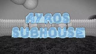 AYROS SUBHOUSE OST - gaem paused 