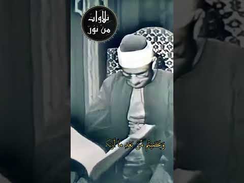حتى إذا فشلتم وتنازعتم في الأمر وعصيتم من بعد ما أراكم ما تحبون محمد صديق المنشاوي