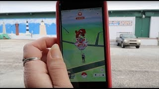 Day 186 Tesla Ruby Gotta Catch Em All