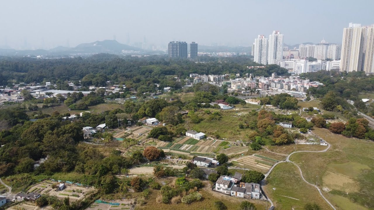 丙崗村 Ping Kong Tsuen | DJI Mini 2 (4K)