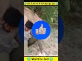 सांप ने इस लड़के के साथ बहुत गलत किया 😱☠️ ~ Anaconda Snake 2 In Real Life #shorts #snake