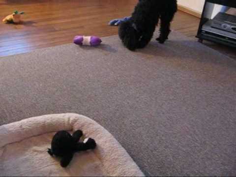 Retrieving Game - YouTube