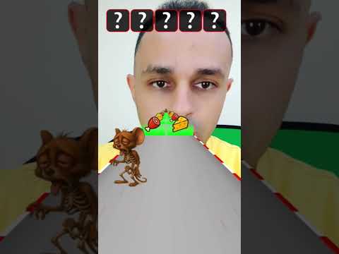 القط والفار توم وجيري Tom And Jerry Tom Jerry Shorts Cat Rat 