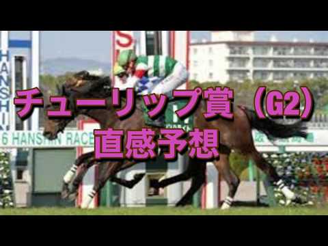 チューリップ賞（G2）　直感予想！