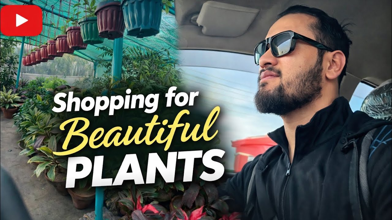 Amazing day with beautiful plants 🪴 