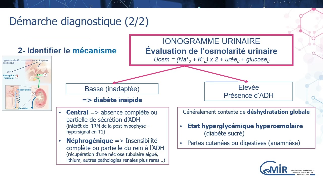 6 37 3 Hypernatrémie