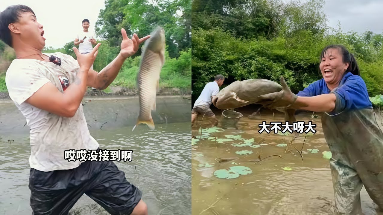 母亲节包下一个鱼塘让四个阿姨比赛抓鱼，没想到阿姨们这么厉害