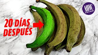 CONSERVA TUS PLATANOS VERDES POR MAS TIEMPO en su estado natural