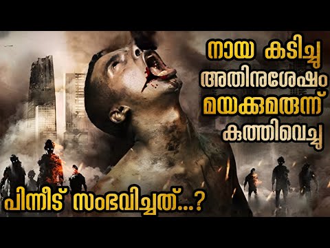 ഒരു നിസാര കാര്യം ലോകത്തെ നശിപ്പിച്ച കഥ മരിച്ചത് കോടിക്കണക്കിന് മനുഷ്യർ