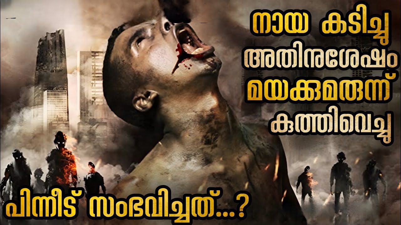 ഒരു നിസാര കാര്യം ലോകത്തെ നശിപ്പിച്ച കഥ മരിച്ചത് കോടിക്കണക്കിന് മനുഷ്യർ