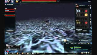 Vindictus - Yet another glitch