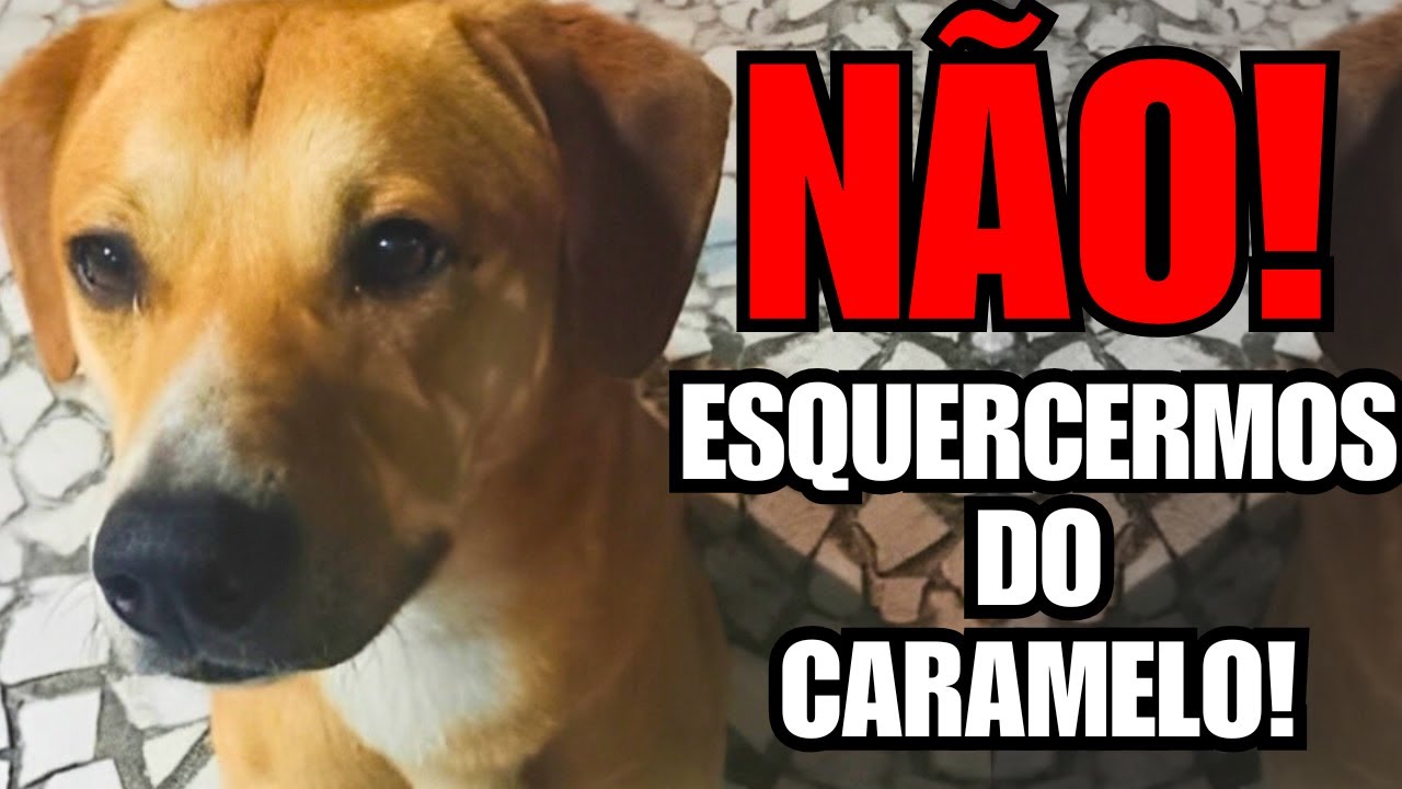 MÚSICA DO CARAMELO - NÃO ESQUECERMOS DO CARAMELO
