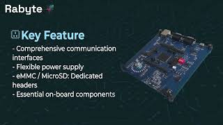 Rabyte 48V Motor Control Platform | Powered by RH850/U2A MCU for Next-Gen Electric Vehicles