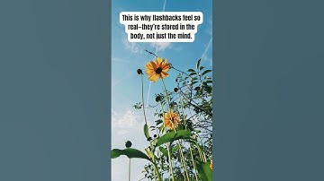 Trauma  Memory 3 Surprising Facts You Need to Know! #shorts