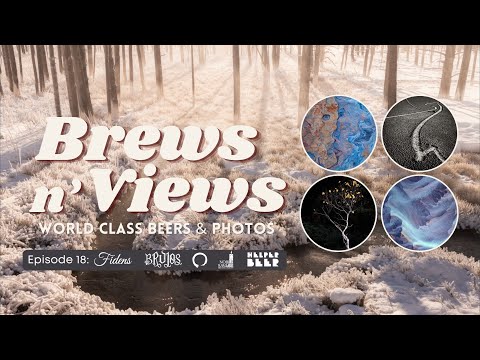 Brews n' Views: Ep. 18 - Gallery Showcase