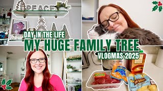MY MOMS CHRISTMAS DECOR | VLOGMAS 2025 DAY 13
