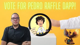 VOTE FOR PEDRO RAFFLE DAPP! #crypto #solana #memecoins