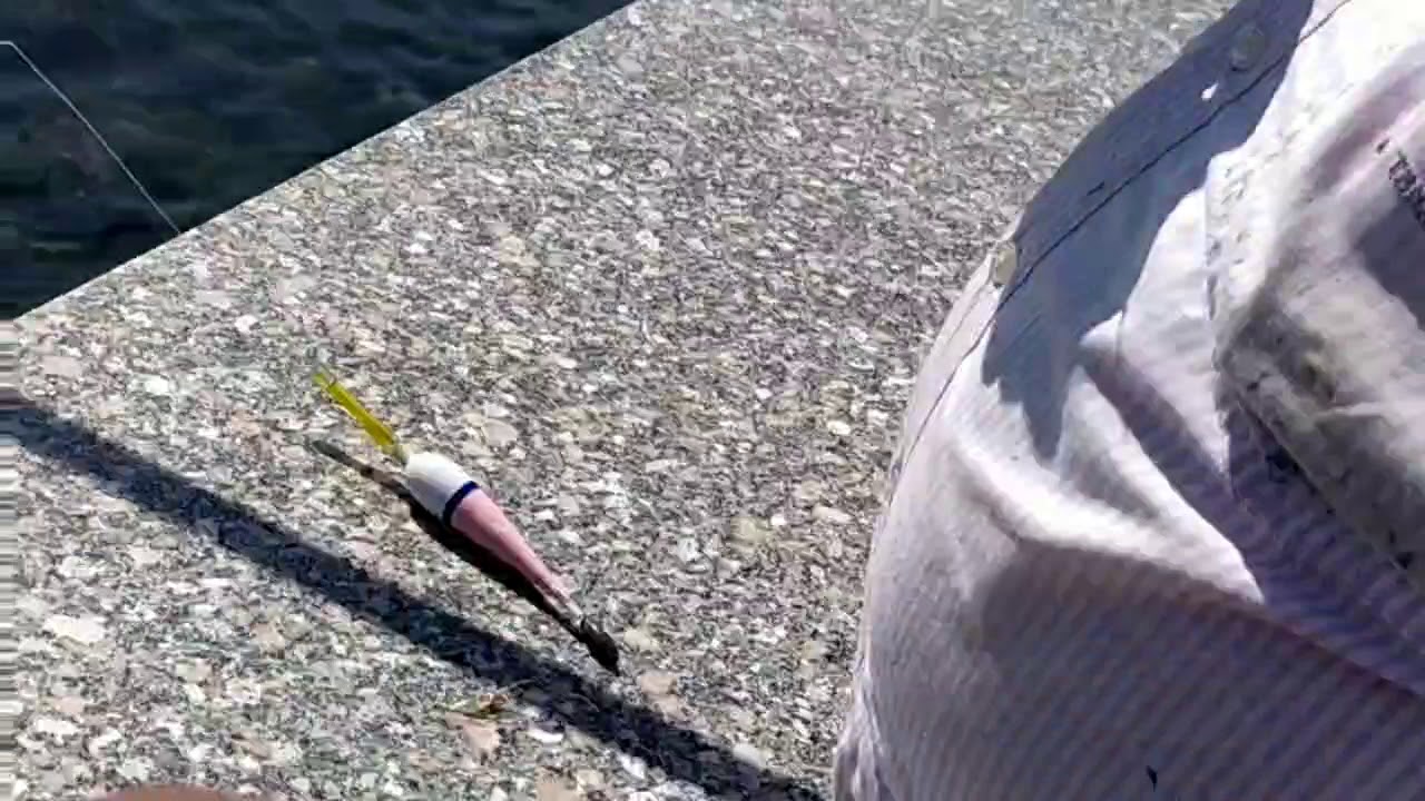 رحله مع صيادين دمياط وعزبه البرج