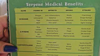 Terpenes. What are they and what do they do?