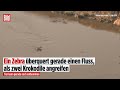Brutaler geht es kaum: Zebra kämpft vergeblich ums Überleben