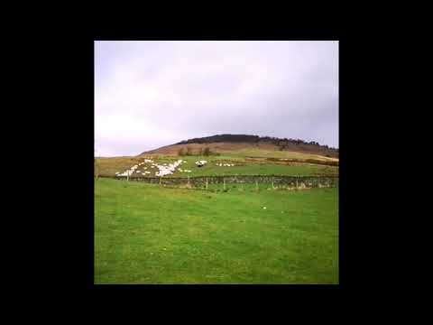 Scottish farmers spend 3 days creating stunning NHS tribute using sheep