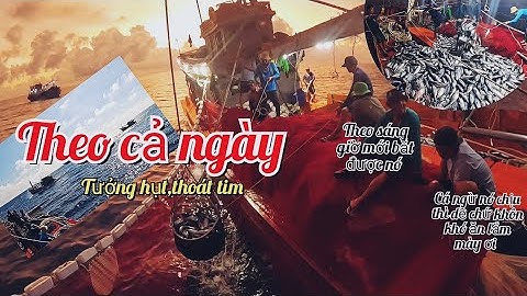 Những Pha Hồi Hộp Rượt Đuổi Bầy Cá Ngừ Ngày..Thật Thốt Tim | Đánh cá 2025-Tâp11 | Sóng biển Hứa Đông
