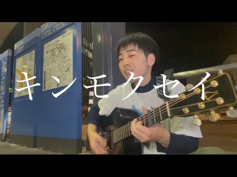 「キンモクセイ/オレンジスパイニクラブ」をマッシロゼパイリティーシャツで弾き語る34歳限界社会人