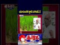 Agriculture Scientist Urges Govt to Declare Crop Holiday For Rabi Paddy in Telangana | V6 Teenmaar