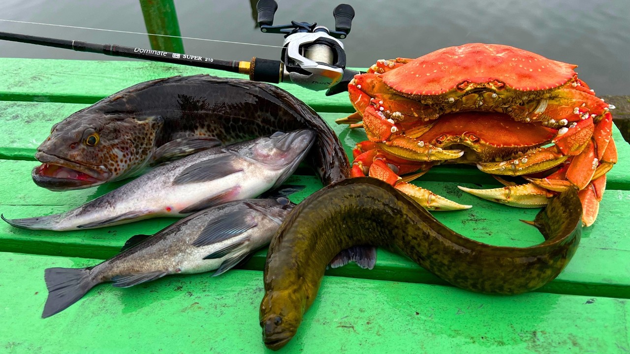 Oregon Coast: 5 Days of Crabbing, Fishing, Clamming and Cooking!