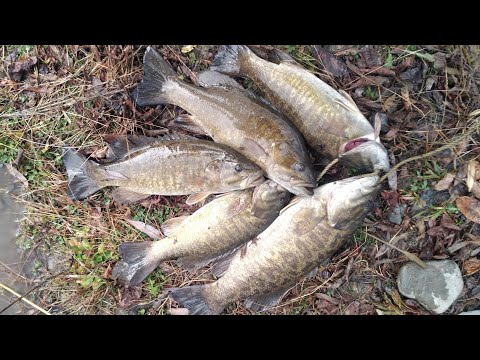 Fall Fishing 2022 - Spillway Jigging for Smallmouth Bass