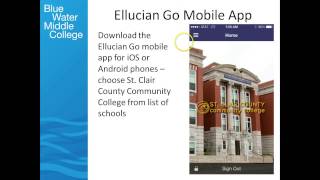 Parent Orientation Summary - Pt. II