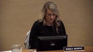 McLeod County Board Meeting October 22, 2019