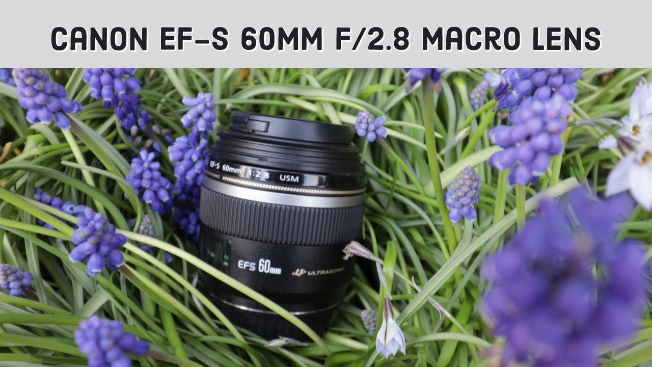 Canon EF-S 60mm f/2.8 USM Macro Lens Review - YouTube