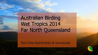 Birds and Wildlife of Queenslands North. The Wet Tropics. Filmed in 2014. Tim Siggs. ABM.