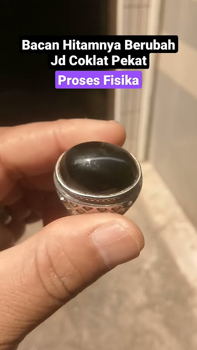 Bacan Hitam Yang Telah Berubah Jadi Bacan Coklat Pekat
